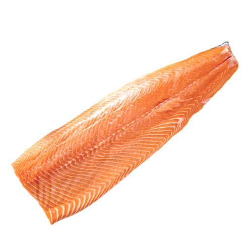 Salmon
